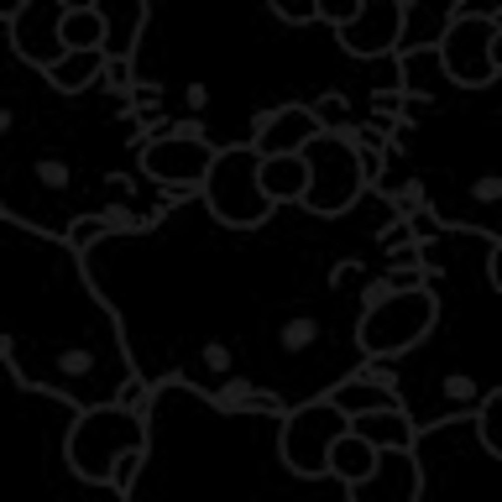 Meet your Posher, Celeste